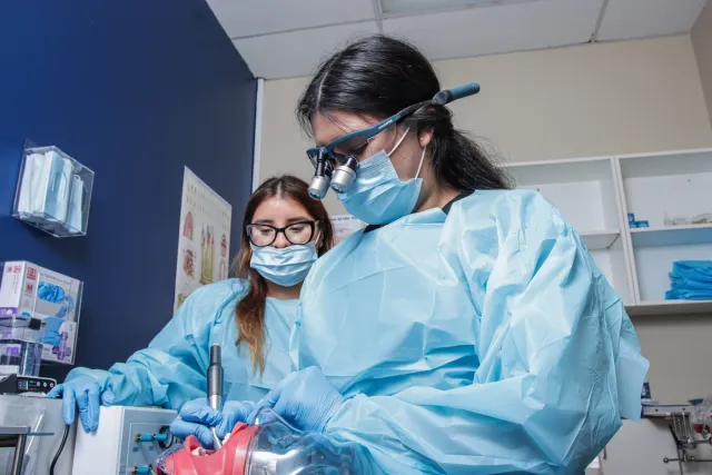 Candidate in scrubs using loupes while performing a clinical exercise.